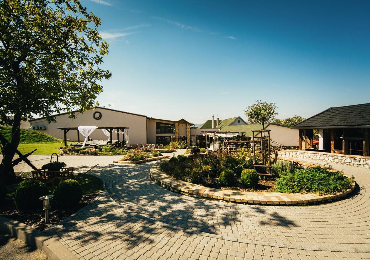 Penzion Tokaj Macik Winery B&B Mala Trna Exterior photo